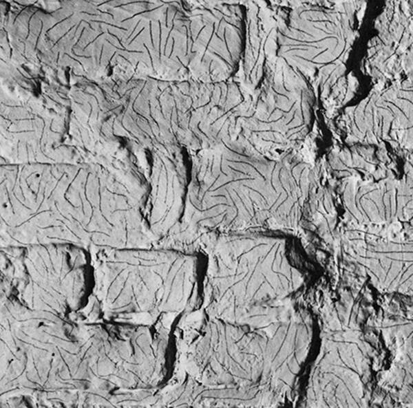 Wall Drawing #73: Lines, not straight, not touching, drawn at random, uniformly dispersed with maximum density, covering the entire surface of the wall.