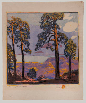 Gustave Baumann, Pines - Grand Cañon, 1921, color woodcut, 12 7/8 x 12 7/8 in. Collection of th…