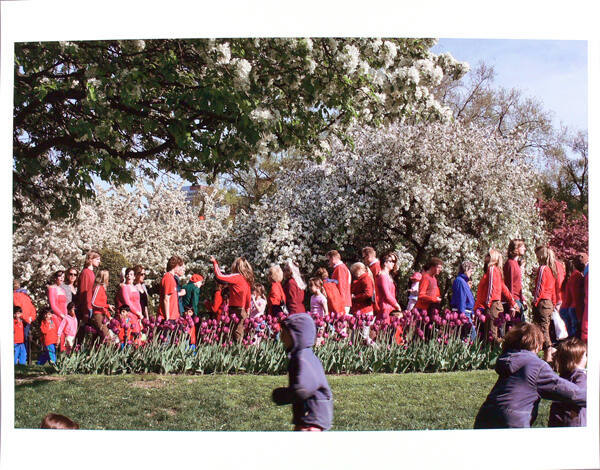 Boston Public Garden, Red Flowers (from the series Selected People)