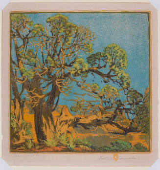 Gustave Baumann, Cedar - Grand Canyon, 1921, color woodcut, 13 × 13 in. Collection of the New M…