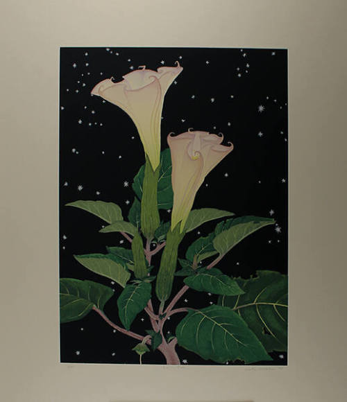 Kate Krasin, Datura, 1990, silkscreen, 17 7/16 x 12 5/8 in. Collection of the New Mexico Museum…