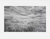 Lawrence McFarland, Wheatfield, 1976, gelatin silver print, selenium toned, 10 3/8 × 16 15/16 i…