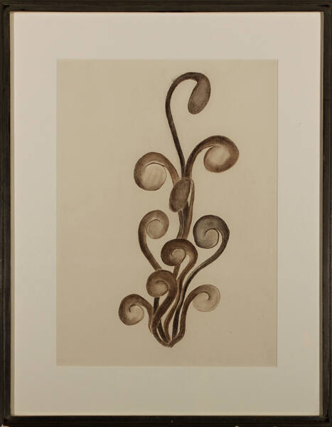 Rebecca Salsbury (Strand) James, Bean Sprouts, circa 1934, charcoal and wash on paper, 18 1/4 ×…