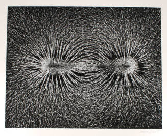 Magnetic Field (from the Retrospective Portfolio)