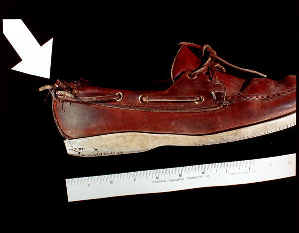 Exhibit B: Moccasin Attacked (from the series Crime in the Home)
