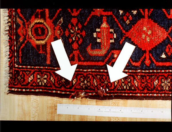 Exhibit C: Second Oriental Rug Chewed (from the series Crime in the Home)