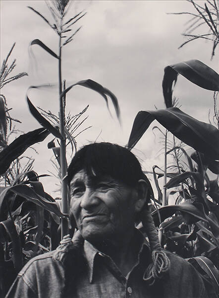 Corn (Maize), The Indian's Achievement