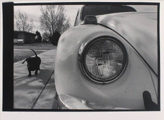 Anne Noggle, Untitled (Volkswagen and Dachshund), 1969-1970, gelatin silver print, 8 3/4 × 12 5…