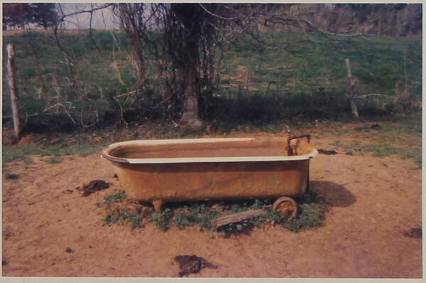 Bathtub as Watering Trough, near Greensboro, Alabama
