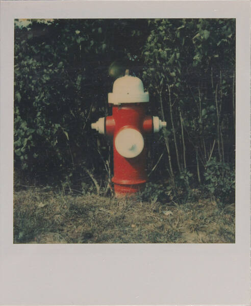 Untitled (Fire Hydrant)