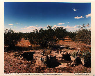 Gila River, Canal Camp, Japanese-American Concentration Camp, Arizona, March 25, 1995 / GRC-13-18-23 (from the series Japanese-American Concentration Camps)