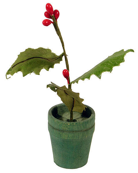 Miniature Holly Plant
