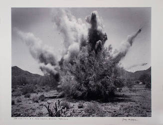 Art Explosion #12, Near Phoenix, Arizona