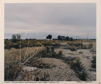 Minidoka, Japanese-American Concentration Camp, Idaho, October 15, 1994 / MI-5-11-75 (from the series Japanese American Concentration Camps)
