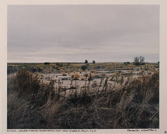 Minidoka, Japanese-American Concentration Camp, Idaho, October 15, 1994 / MI-7-11-77 (from the series Japanese American Concentration Camps)