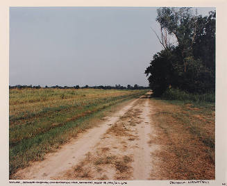 Rohwer, Japanese-American Concentration Camp, Arkansas, August 28, 1993 / R-2-6-94 (from the series Japanese American Concentration Camps)