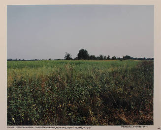 Rohwer, Japanese-American Concentration Camp, Arkansas, August 28, 1993 / R-3-6-95 (from the series Japanese American Concentration Camps)