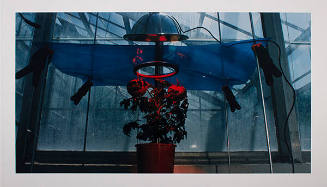 Growth Pulsation - Tomatoes - Biology Research Greenhouse, University of New Mexico 2004 (from the series Chromatherapy)

