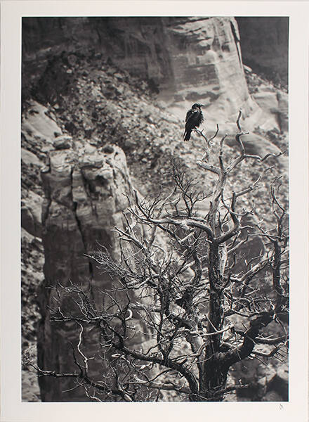 Canyon de Chelly, Arizona (Spider Rock)