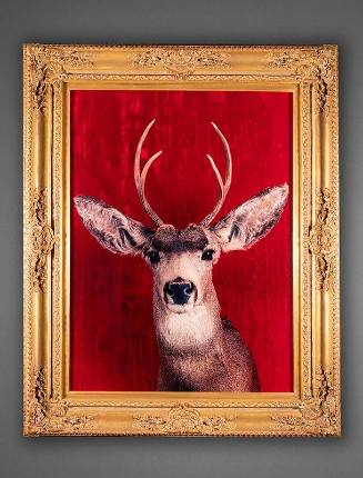 Death Wishes (Red Deer Portrait)