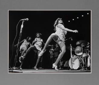 Tina Turner (from the series Rock and Roll)