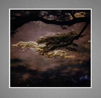 Branch and Water, Shugakuin Palace, Kyoto