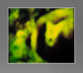 Green Abstraction (Gorilla) [Color Series] {unique}