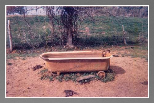 Chromogenic print by William Christenberry, "Bathtub as Watering Trough, near Greensboro, Alaba…