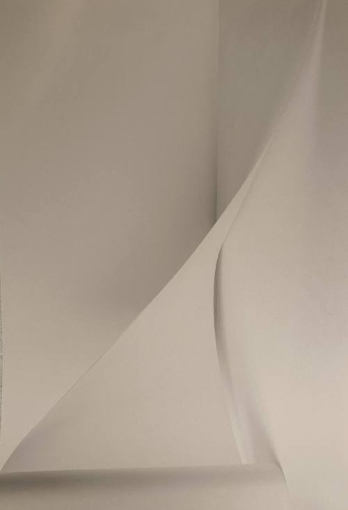 Blanco sobre Papel #2/White on Paper #2
