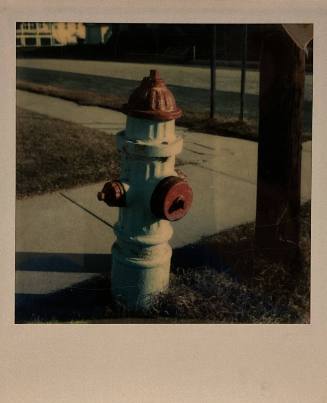 Untitled  (Fire hydrant, white and red)