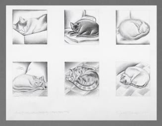 Study for Noon: Catnaps / Kitty City (before Poppy Died)