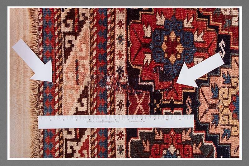 Exhibit A: Oriental Rug Chewed (from the series Crime in the Home)