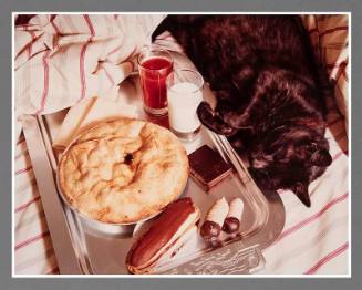 Untitled (cat/pastries)