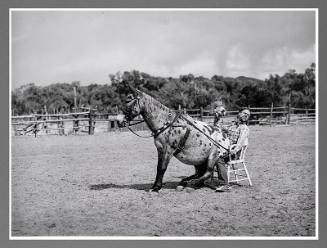 Clown Rider With His Trick Mule At Rodeo, Quemado, New Mexico