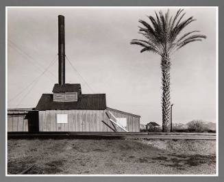Powerhouse and Palm Tree Near Lordsburg, NM
