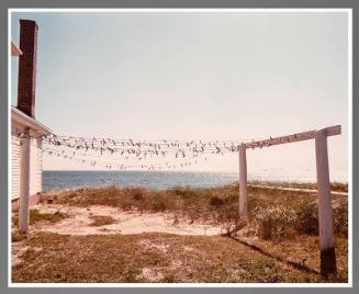 Clothesline, Provincetown (from the portfolio The Cape)