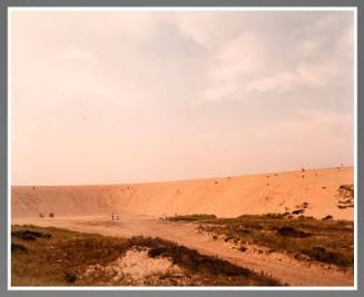 Dune, Provincetown (from the portfolio The Cape)