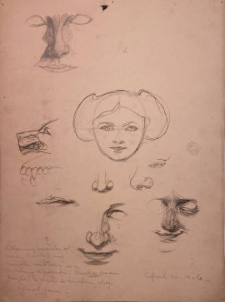 Untitled (Sketches of nose muscles)