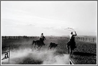 Lasso - Rodeo South of Animas, 1981