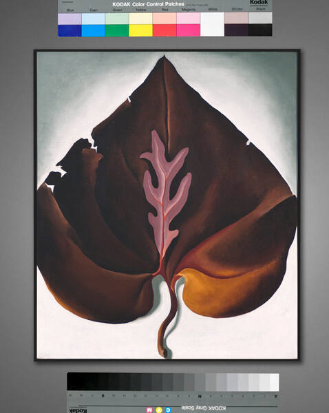 Georgia O'Keeffe, Dark and Lavender Leaves, 1931, oil on canvas, 19 3/4 × 16 9/16 in. Collectio…