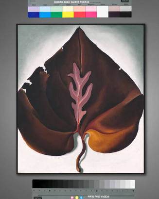 Georgia O'Keeffe, Dark and Lavender Leaves, 1931, oil on canvas, 19 3/4 × 16 9/16 in. Collectio…