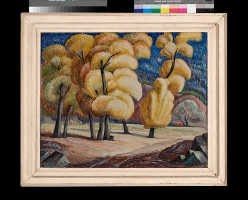 Will Shuster, Trees at Canyoncito, circa 1930, oil on canvas, 24 1/4 x 30 1/4 in. On long term …