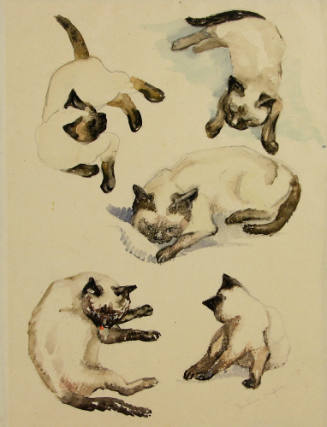 Untitled (Siamese Cats)