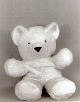 Favorite Objects: Teddy Bear