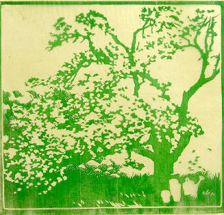 Spring Blossoms (Transfer Drawing)