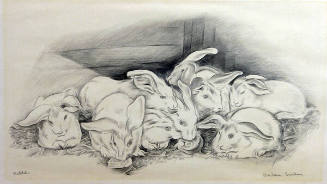 Barbara Latham, Rabbits, n.d., graphite on paper, 11 3/4 x 17 1/2 in. Collection of the New Mex…