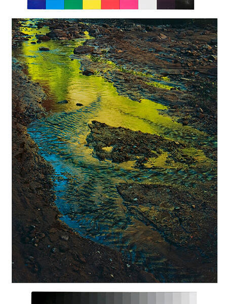 Green Reflections in Stream, Moqui Creek, Glen Canyon, Utah, Sept. 2, 1962