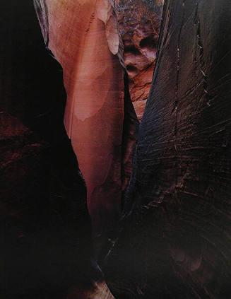 Eliot Porter, Dungeon Canyon, Glen Canyon, Utah, 1961, dye transfer print, 10 5/8 x 8 1/8 in. C…