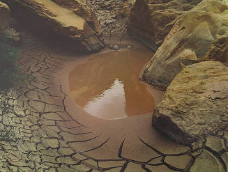 Mud Cracks and Pool, House Rock Canyon, Marble Canyon, Arizona