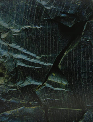 Fractured Obsidian - Landmannalaugar (85/110)